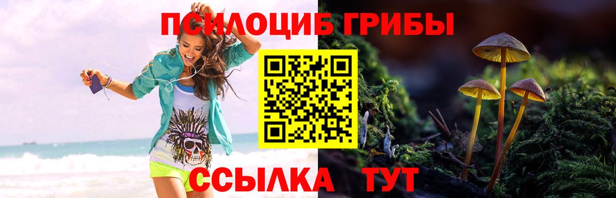 Псилоцибиновые грибы Magic Shrooms  Вход с VPN  Крымск 